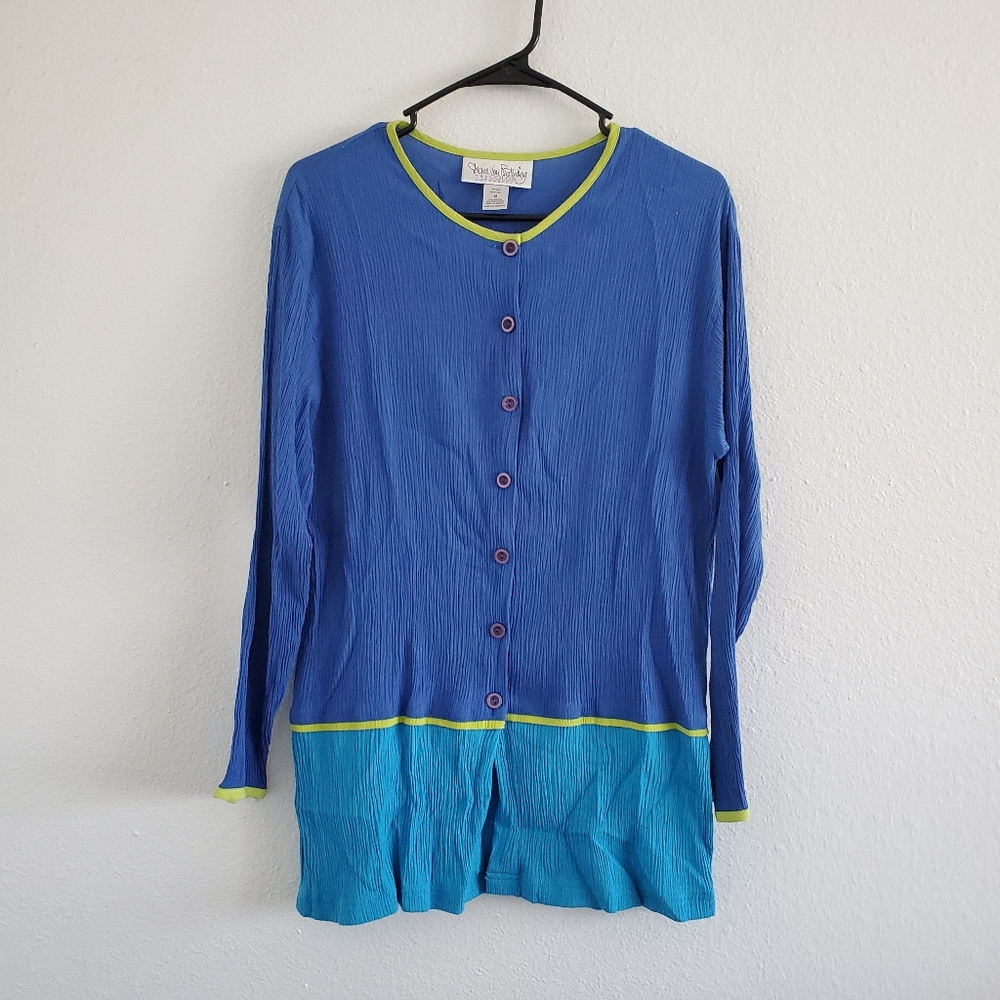 Diane Von Furstenberg Color Block Button Down